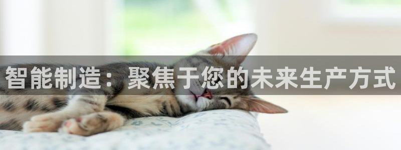 pg电子招财喵