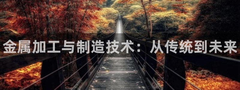 老外玩pg电子