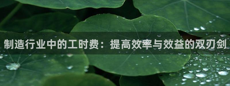 pg电子官方入口体育
