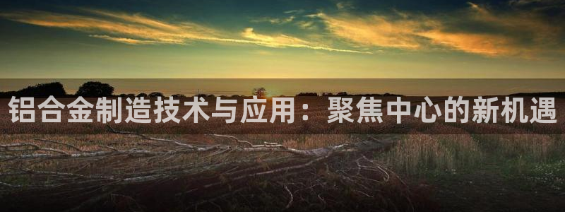 pg电子麻将胡胡了输