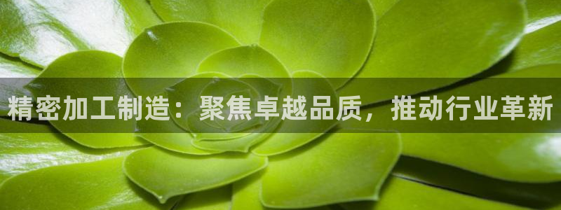 pg电子视频专区