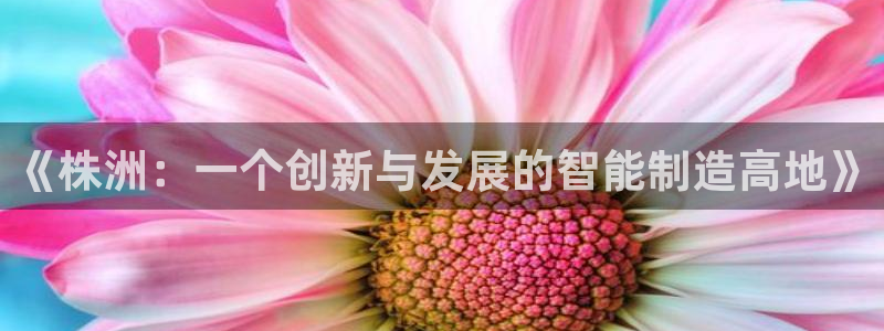 pg电子入口