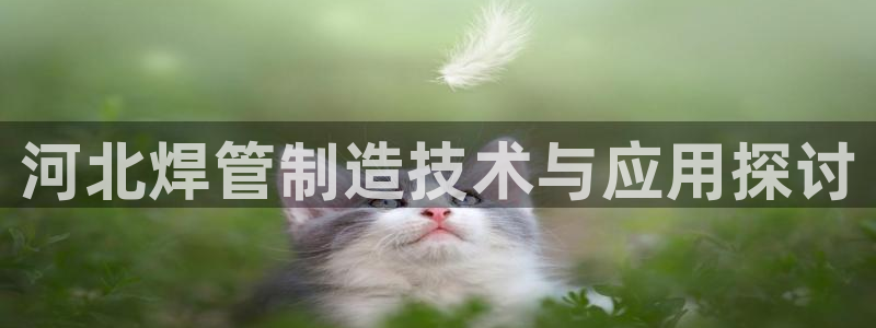 pg电子推荐活动