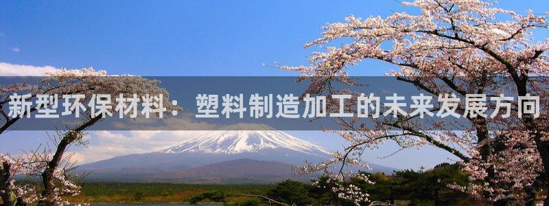 pg电子下载窗口