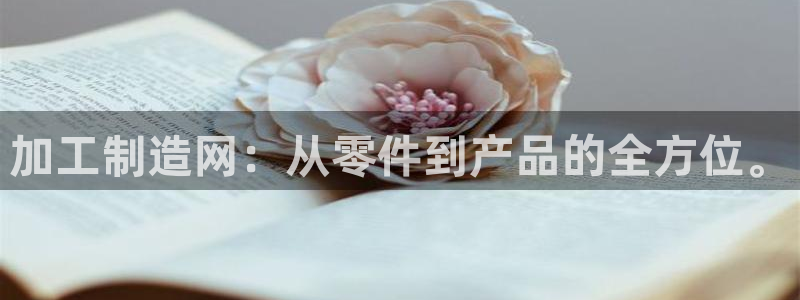 pg电子千赢国际