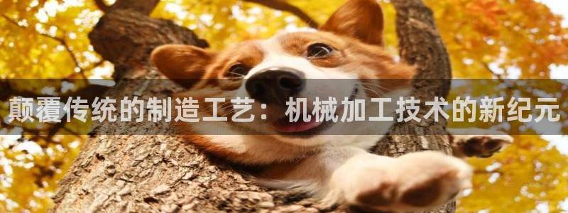 pg电子试玩app