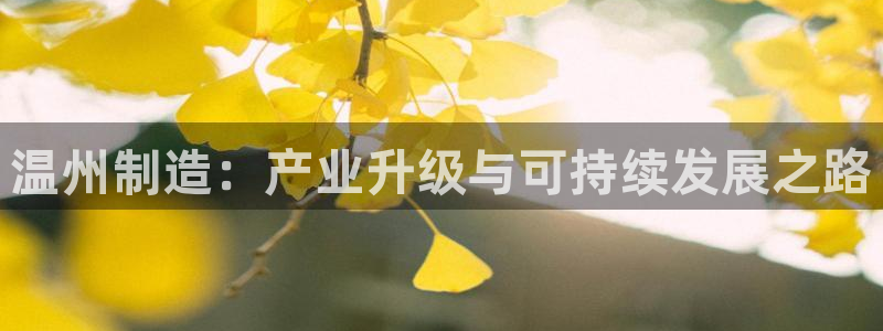 Pg电子游戏作弊
