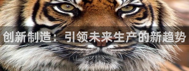 pg电子试玩网站