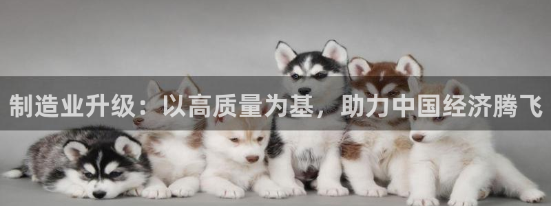 pg电子游戏犯法吗