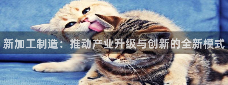 可以玩pg的电子软件