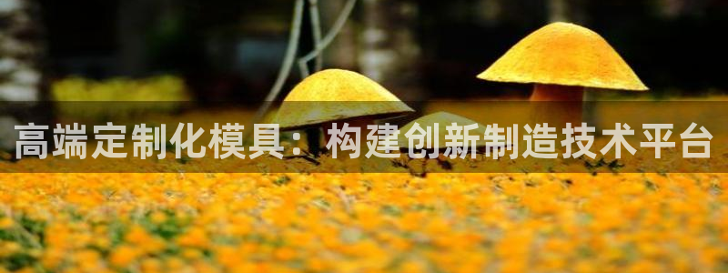 pg电子官方首页311