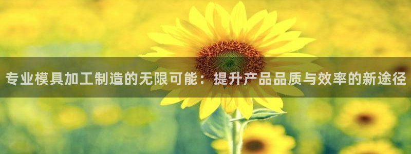 PG电子少林足球规则