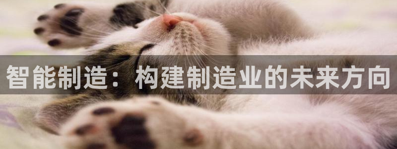 pg电子试玩地址