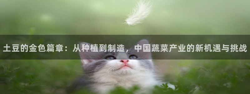 电子PG游戏麻将胡了游戏平台