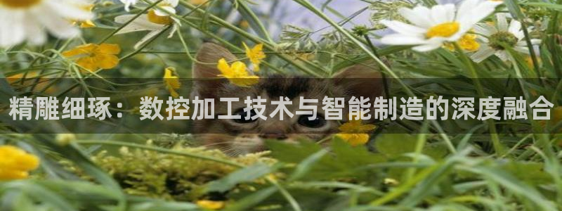 竹子熊猫电子游戏pg