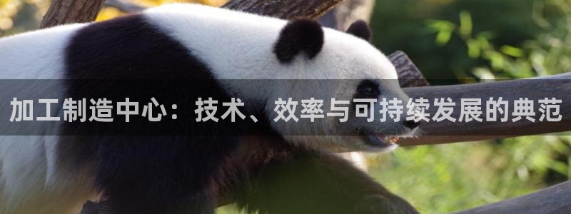 pg电子试玩网站