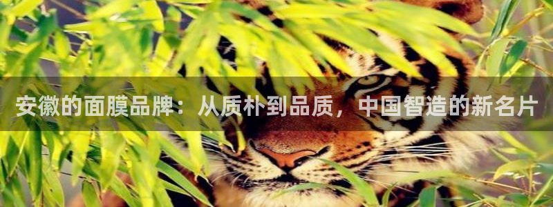 pg电子游戏爆分平台