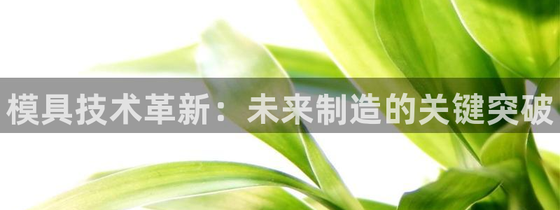 pg电子试玩地址