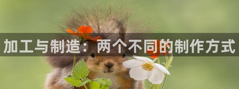 pg电子注册就送的网站
