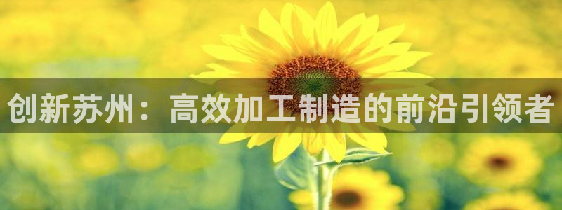 pg电子注册官网