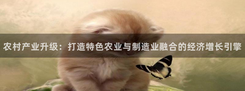 pg电子麻将胡了单机