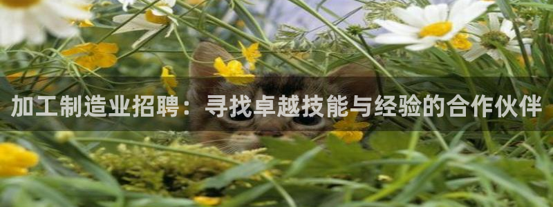 pg电子游戏象财神视频