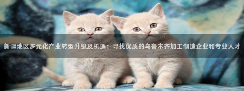 在线pg电子平台