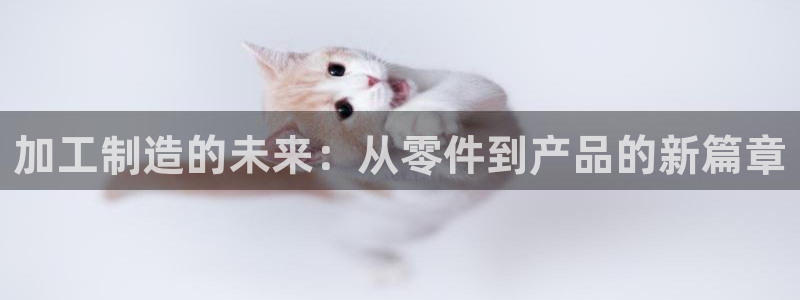 pg电子平台手机app