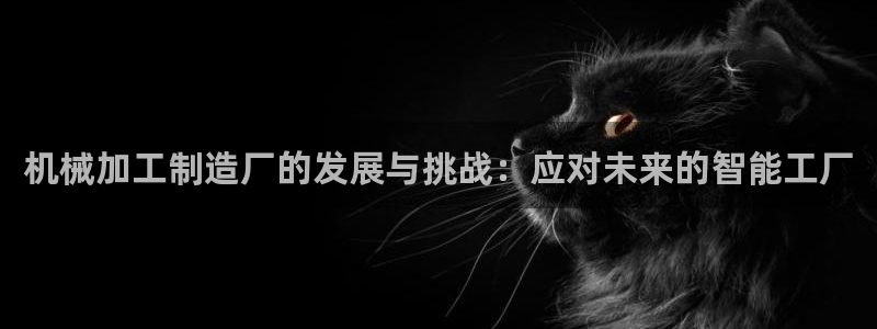 pg电子哪里玩破解版