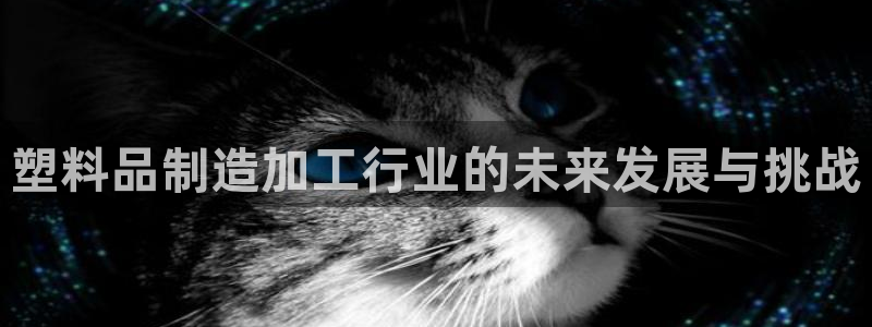 pg电子游戏下载苹果