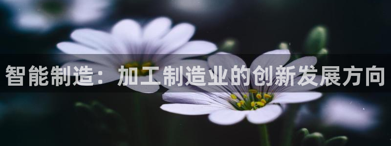 pg电子比基尼爆分技巧