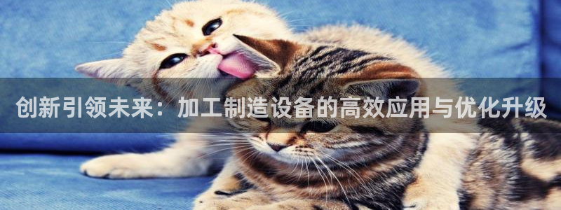 久发pg电子游戏网站