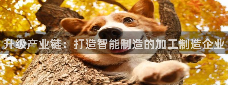 pg电子寻宝黄金城