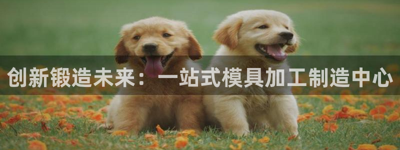 pg电子双喜临门维护