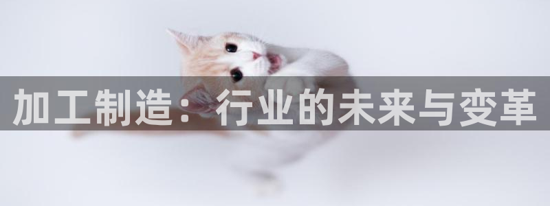 pg电子官方网址