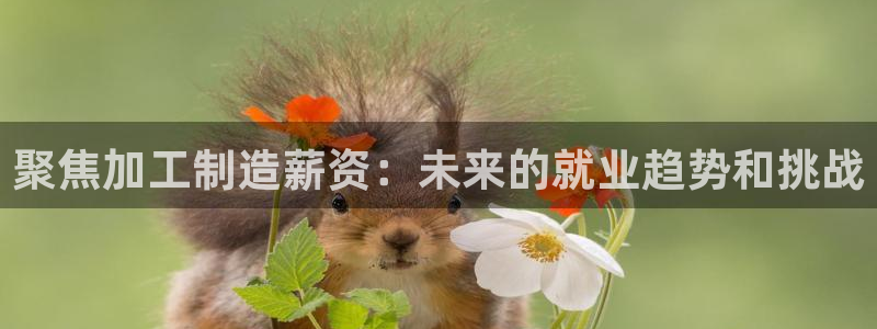 pg电子怎么能赢