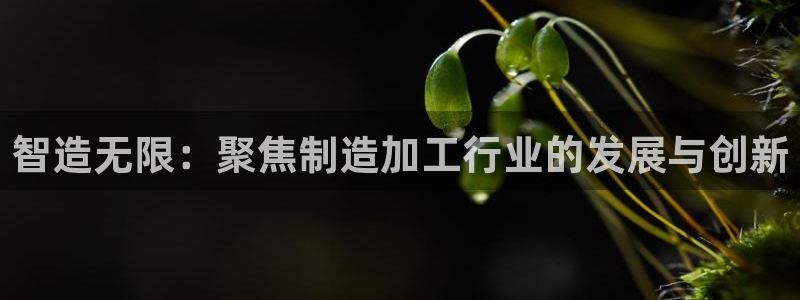 pg电子官方下载