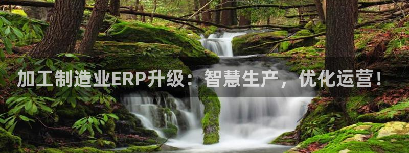 pg电子直播试玩