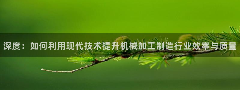 PG电子ly七九典cn