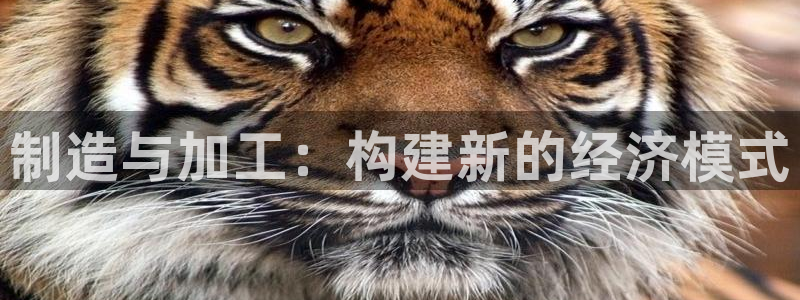 pg澳门电子软件