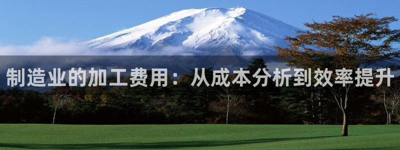 pg电子游戏象财神技巧