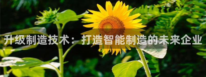 pg电子要怎样容易中奖