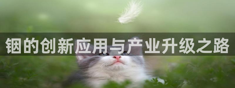 pg电子游戏试玩网