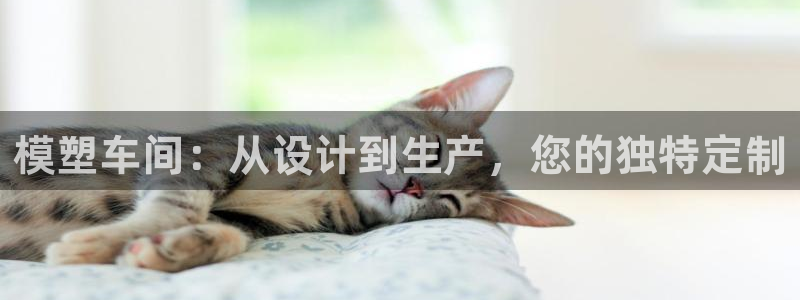 pg电子摇钱树爆分平台