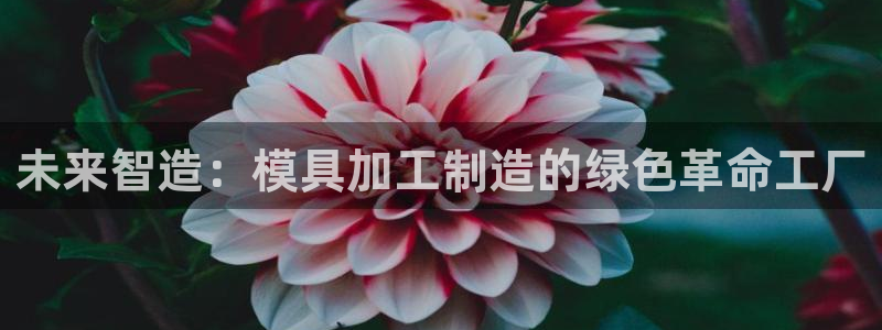 pg电子平台网址大全