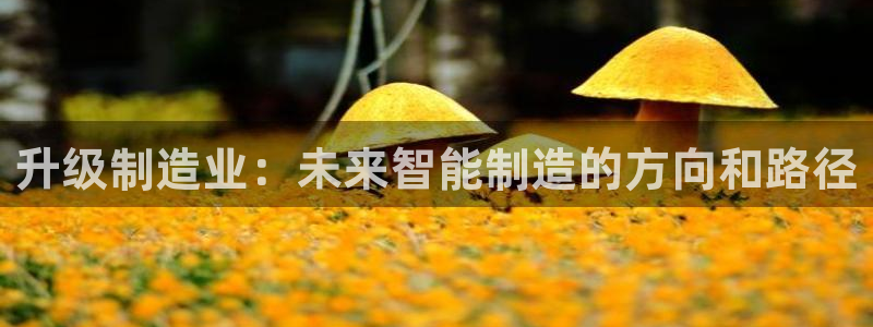 PG电子在线试玩官网