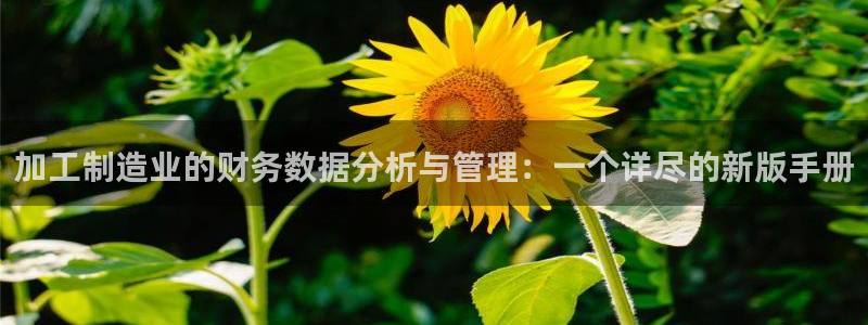 pg电子玩法心得