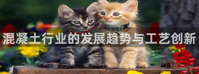 pg澳门电子软件