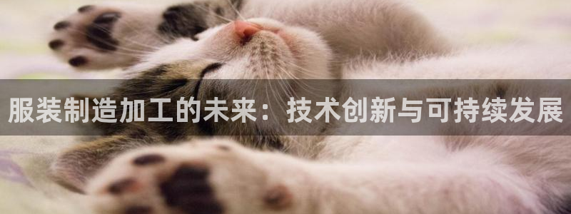 pg电子首页官方网站