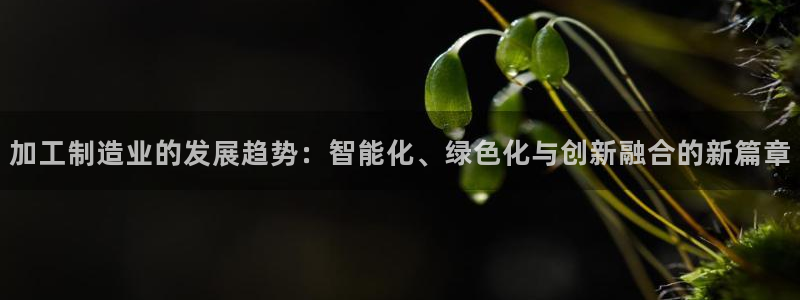 必发集团pg电子